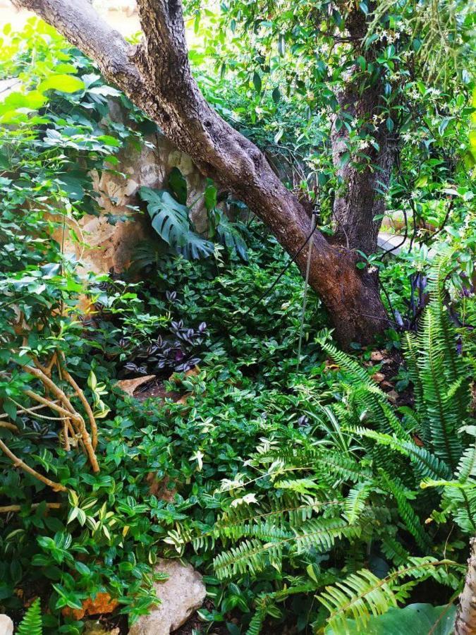 Olive Lemon Biophilic House & Lush Forest Garden Vámos Exteriér fotografie