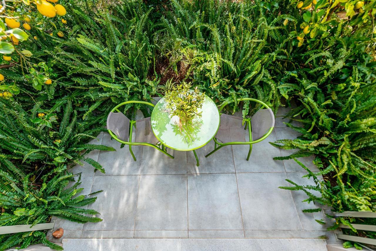 Olive Lemon Biophilic House & Lush Forest Garden Vámos Exteriér fotografie