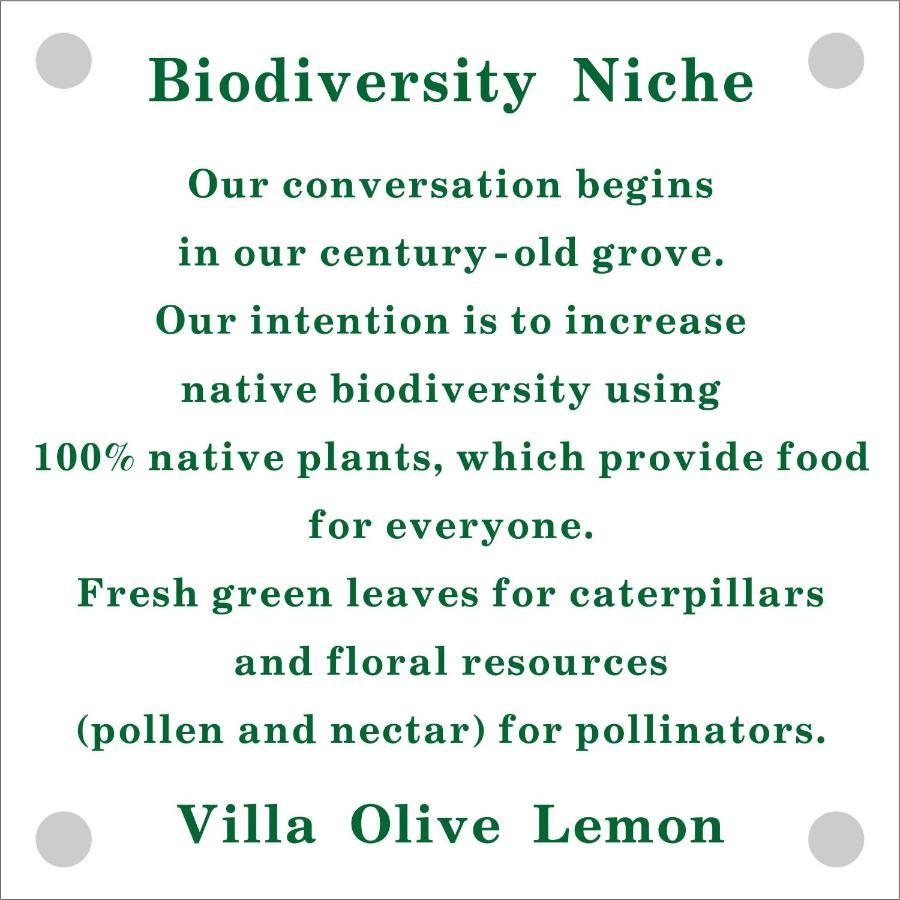 Olive Lemon Biophilic House & Lush Forest Garden Vámos Exteriér fotografie