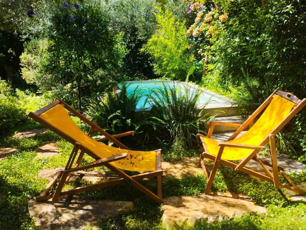 Olive Lemon Biophilic House & Lush Forest Garden Vámos Exteriér fotografie
