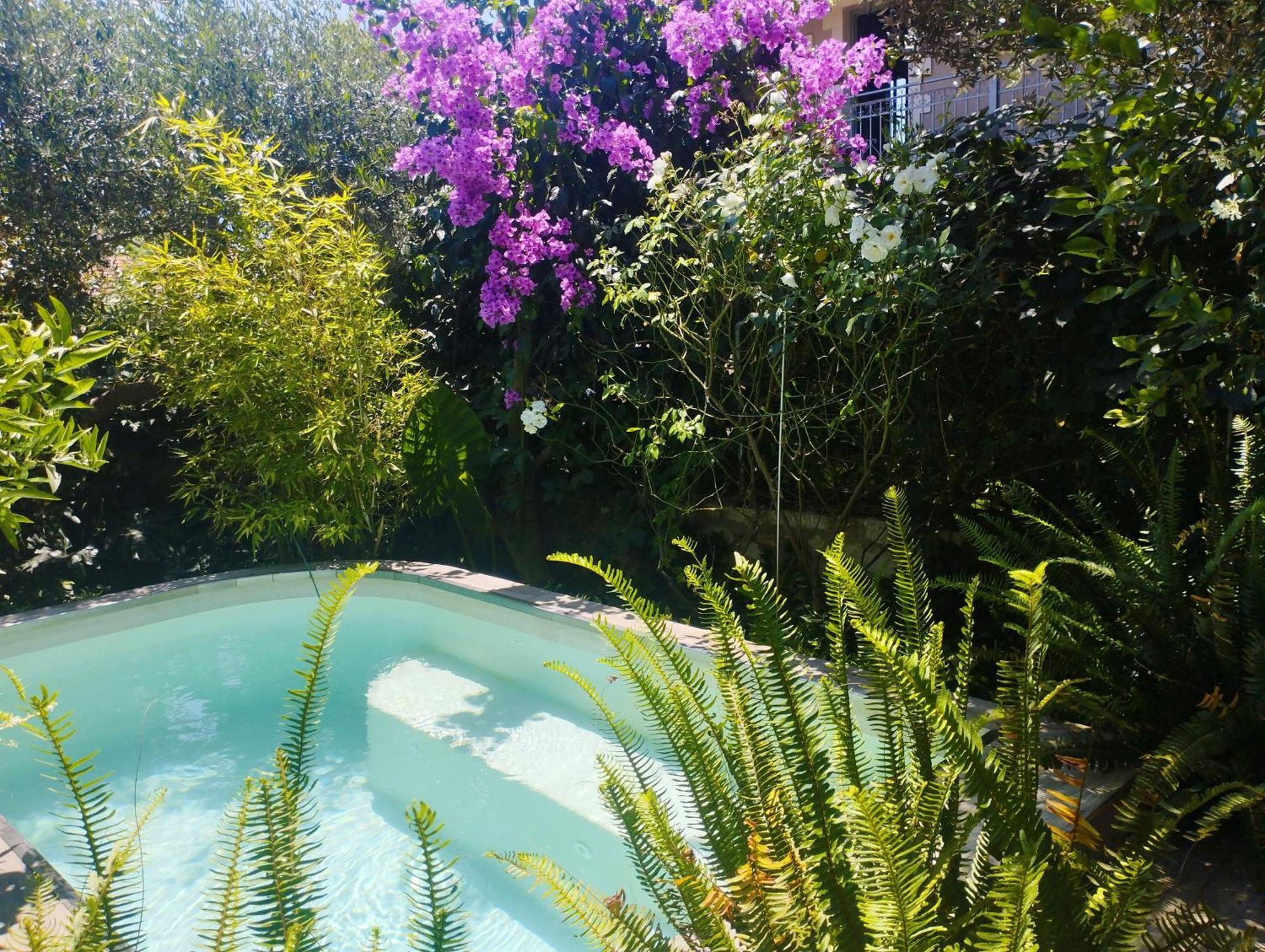 Olive Lemon Biophilic House & Lush Forest Garden Vámos Exteriér fotografie