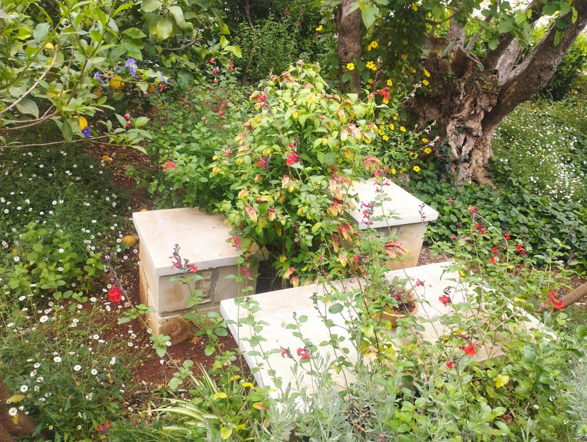 Olive Lemon Biophilic House & Lush Forest Garden Vámos Exteriér fotografie