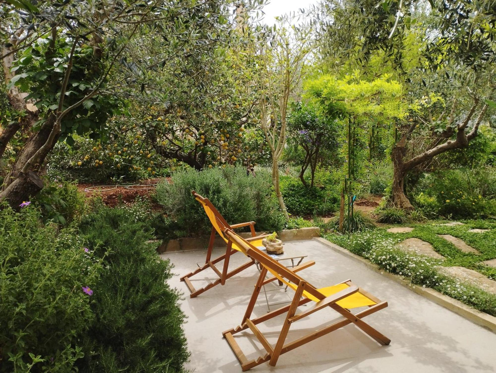 Olive Lemon Biophilic House & Lush Forest Garden Vámos Pokoj fotografie