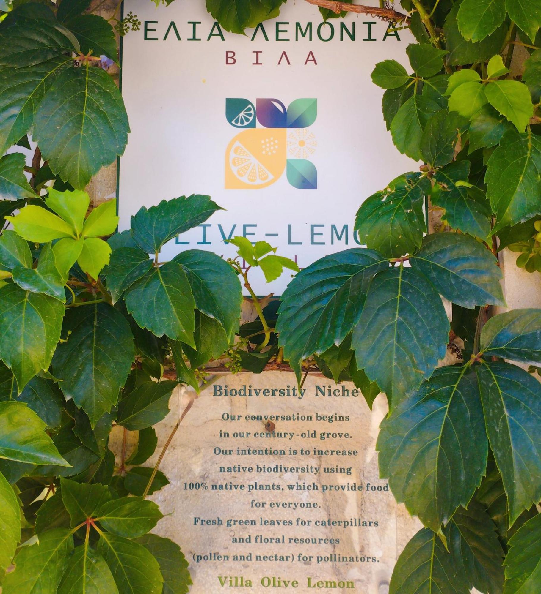 Olive Lemon Biophilic House & Lush Forest Garden Vámos Pokoj fotografie